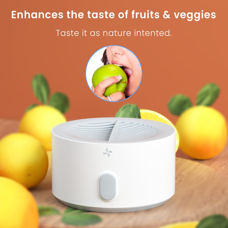 AquaPure Fruit and Vegetable Washing Machine, USBRechargeable